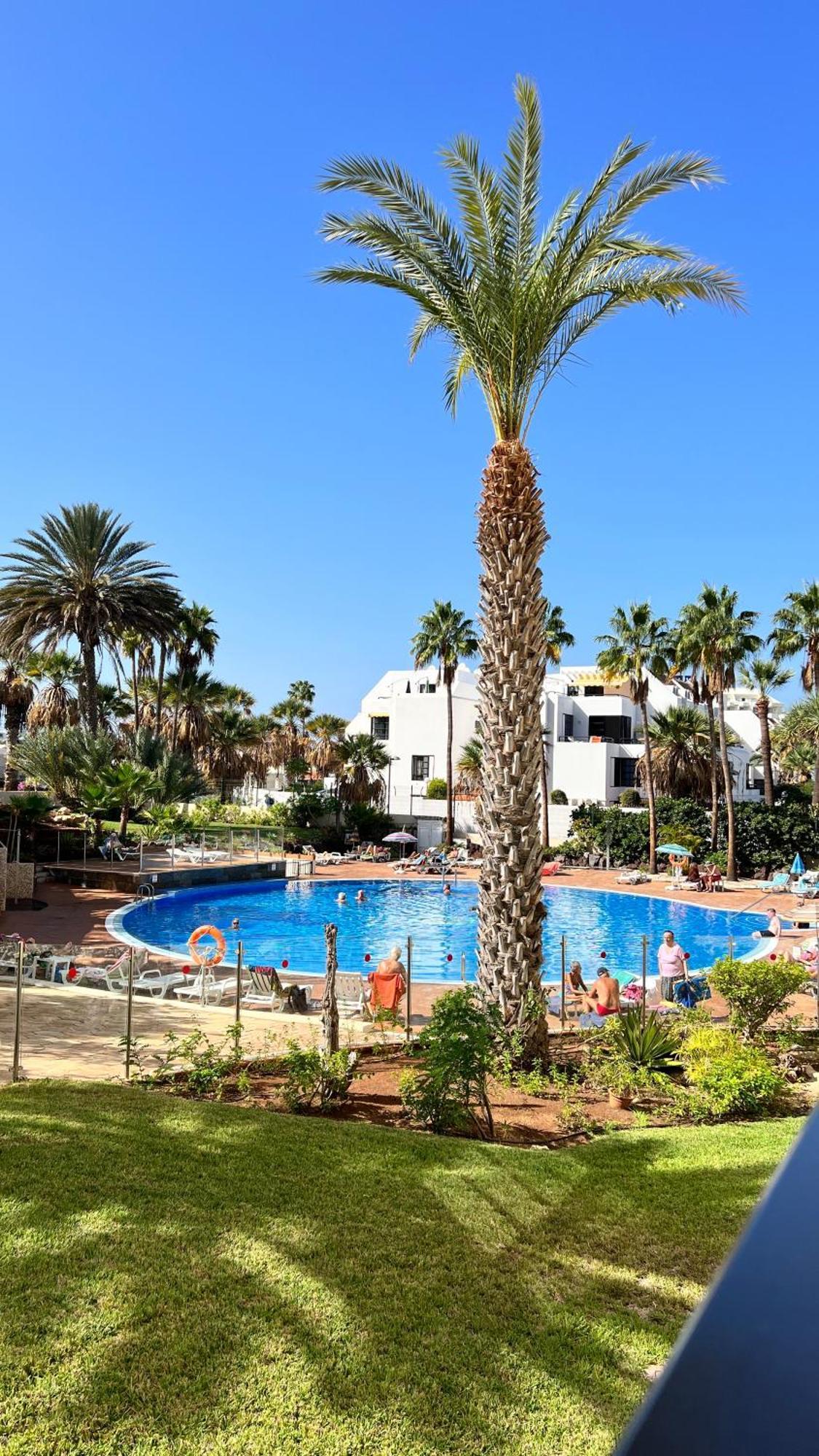 Apartment El Dorado - New Modern Playa de las Americas (Tenerife)
